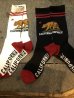 画像3: ZENITH CALIFORNIA REPUBLIC SOCKS カリフォルニアフラッグソックス (3)