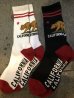 画像2: ZENITH CALIFORNIA REPUBLIC SOCKS カリフォルニアフラッグソックス (2)