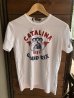 画像1: 別注 Johnson Motors'Inc CATALINA GP S/S tee ジョンソンモータース半袖Tシャツ OPTIC WHITE  (1)